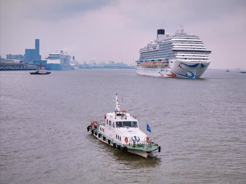 五一假期郵輪游市場(chǎng)火爆,寶山海事局全力保障市民旅客出行安全順暢