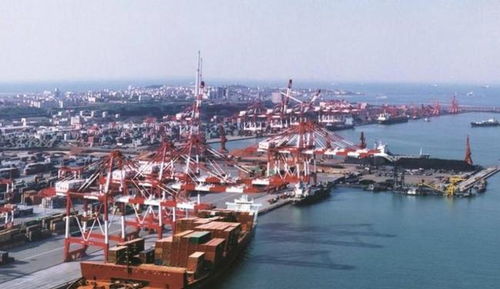 青島將崛起的黑馬區(qū),深受游客喜愛(ài),不是李滄也不是黃島